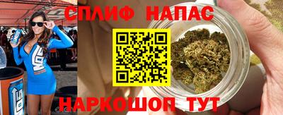 прущие грибы Апшеронск